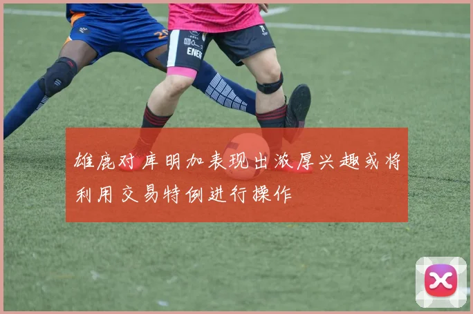 雄鹿对库明加表现出浓厚兴趣或将利用交易特例进行操作