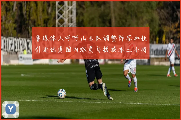 鲁媒体人呼吁山东队调整阵容加快引进优秀国内球员与提拔本土小将
